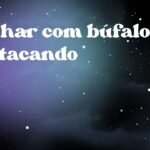Sonhar com búfalo te atacando