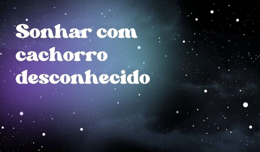 Sonhar com cachorro desconhecido