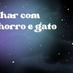 Sonhar com cachorro e gato