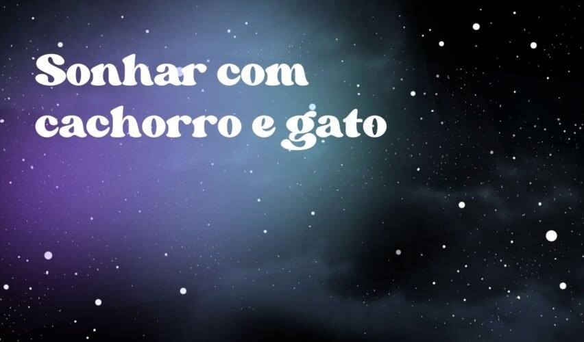 Sonhar com cachorro e gato