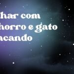 Sonhar com cachorro e gato brincando