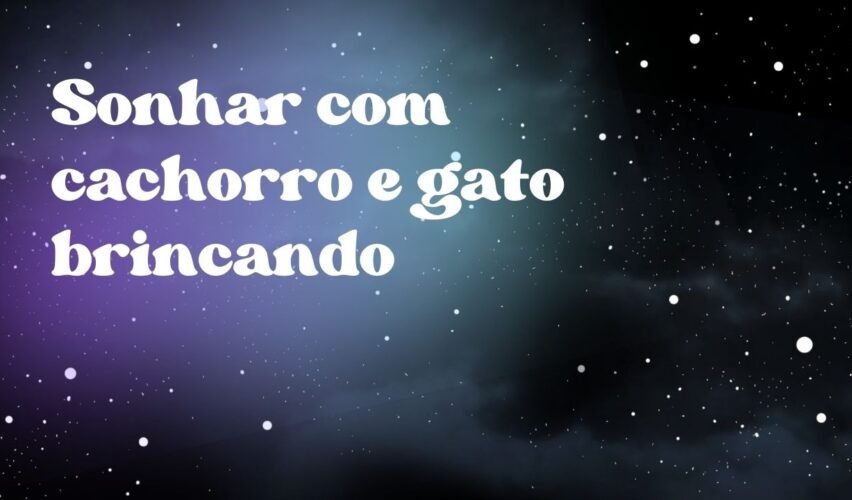 Sonhar com cachorro e gato brincando