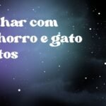 Sonhar com cachorro e gato juntos