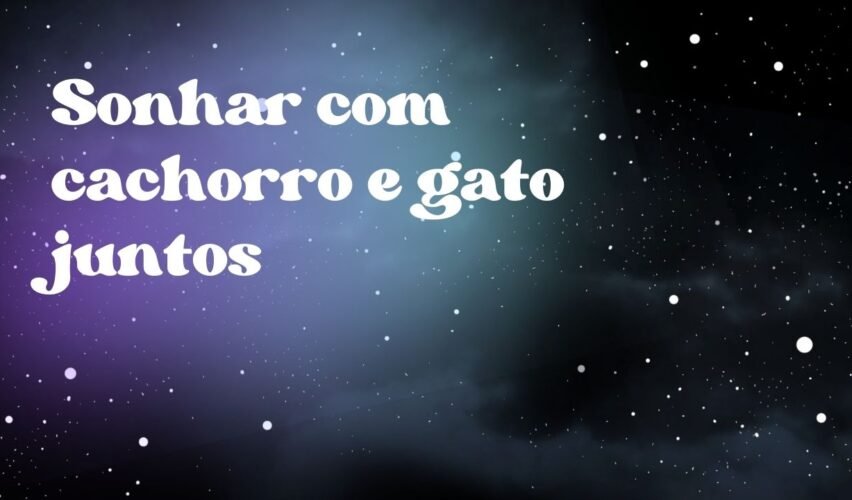 Sonhar com cachorro e gato juntos