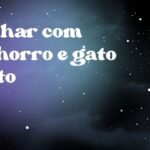 Sonhar com cachorro e gato preto