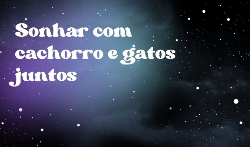 Sonhar com cachorro e gatos juntos