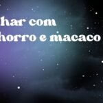 Sonhar com cachorro e macaco