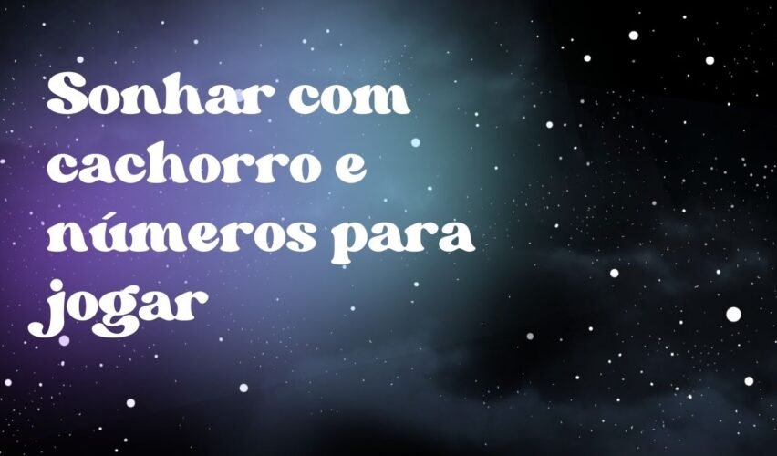Sonhar com cachorro e números para jogar
