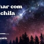 Sonhar com chinchila