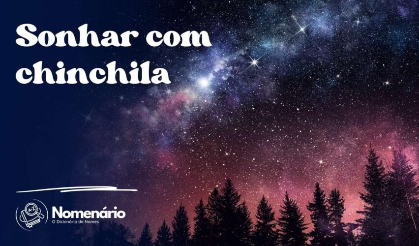 Sonhar com chinchila