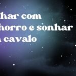 Sonhar com cachorro e sonhar com cavalo