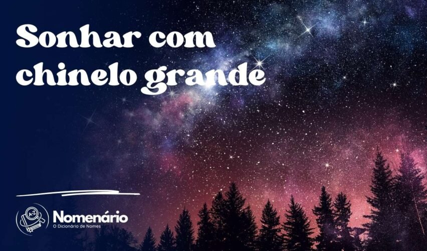 Sonhar com chinelo grande