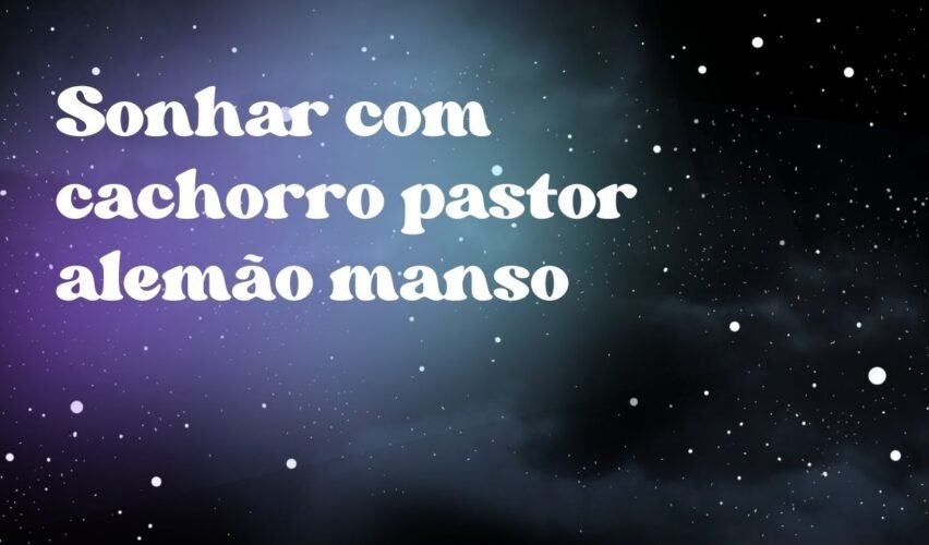 Sonhar com cachorro pastor alemão manso