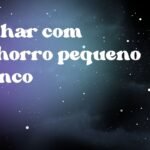 Sonhar com cachorro pequeno branco