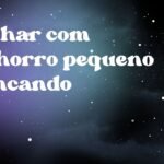 Sonhar com cachorro pequeno brincando