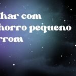 Sonhar com cachorro pequeno marrom