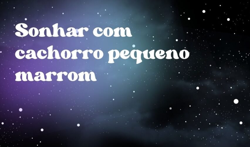 Sonhar com cachorro pequeno marrom