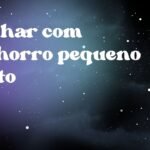 Sonhar com cachorro pequeno preto