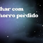 Sonhar com cachorro perdido