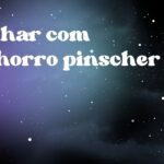 Sonhar com cachorro pinscher