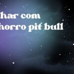 Sonhar com cachorro pit bull