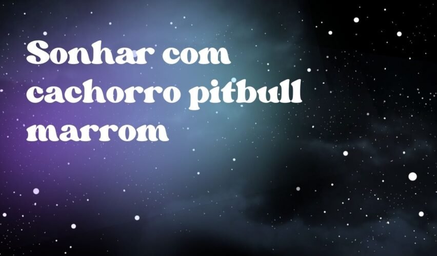 Sonhar com cachorro pitbull marrom