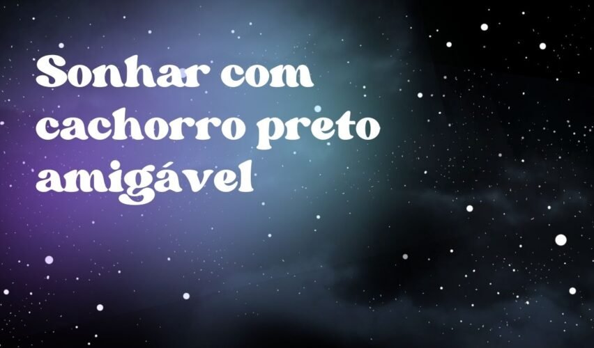 Sonhar com cachorro preto amigável
