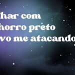 Sonhar com cachorro preto bravo me atacando