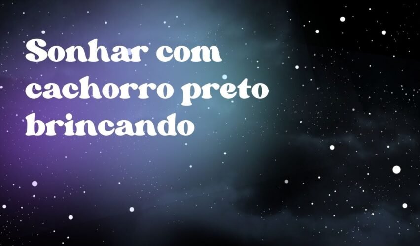 Sonhar com cachorro preto brincando