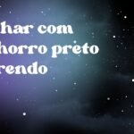 Sonhar com cachorro preto correndo