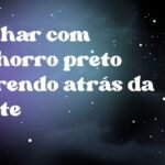 Sonhar com cachorro preto correndo atrás da gente
