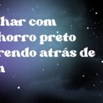 Sonhar com cachorro preto correndo atrás de mim