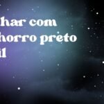 Sonhar com cachorro preto dócil