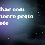 Sonhar com cachorro preto filhote