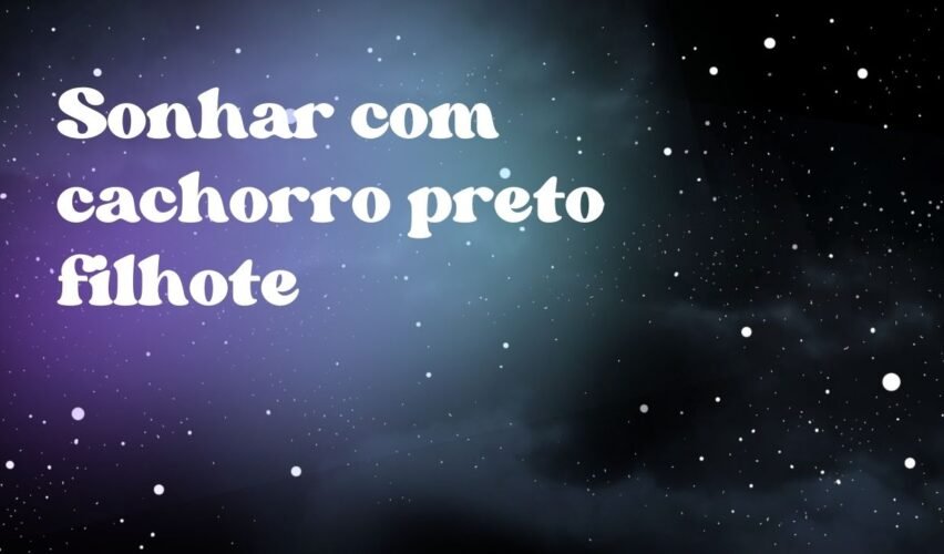 Sonhar com cachorro preto filhote