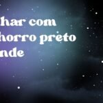 Sonhar com cachorro preto grande