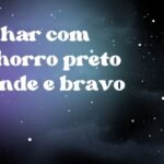 Sonhar com cachorro preto grande e bravo