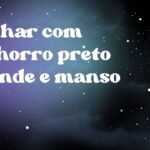 Sonhar com cachorro preto grande e manso
