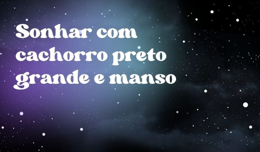 Sonhar com cachorro preto grande e manso