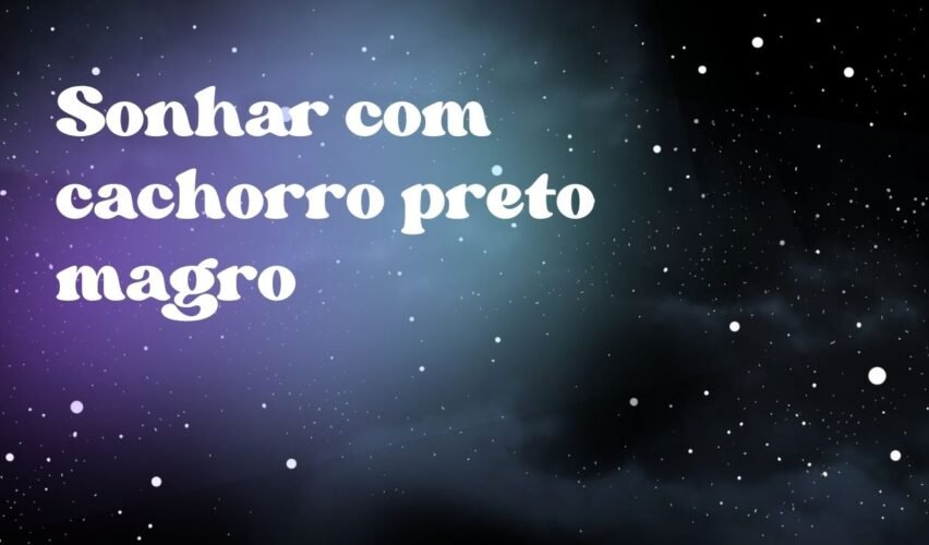 Sonhar com cachorro preto magro