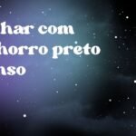 Sonhar com cachorro preto manso
