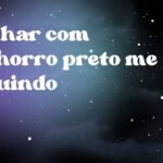 Sonhar com cachorro preto me seguindo