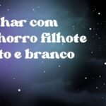 Sonhar com cachorro filhote preto e branco