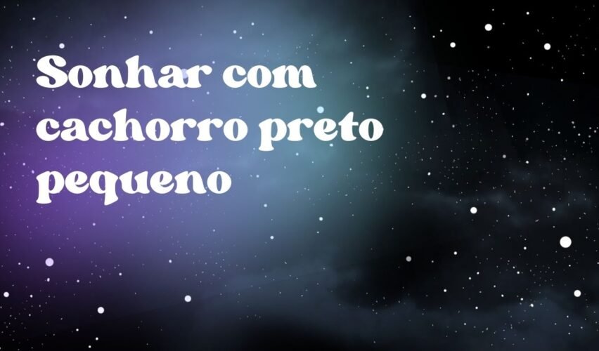 Sonhar com cachorro preto pequeno