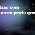 Sonhar com cachorro preto que