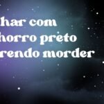 Sonhar com cachorro preto querendo morder