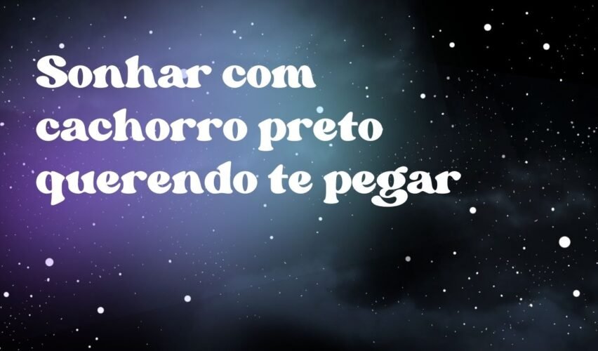 Sonhar com cachorro preto querendo te pegar