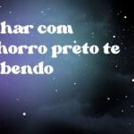 Sonhar com cachorro preto te lambendo