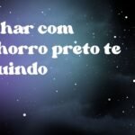 Sonhar com cachorro preto te seguindo