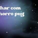 Sonhar com cachorro pug